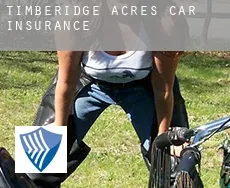 Timberidge Acres  car insurance