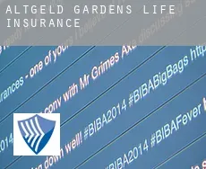 Altgeld Gardens  life insurance