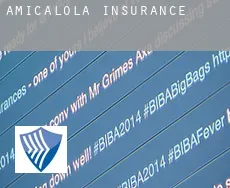 Amicalola  insurance