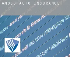 Amoss  auto insurance