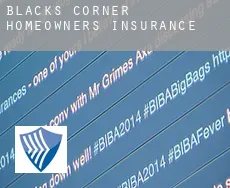 Blacks Corner  homeowners insurance