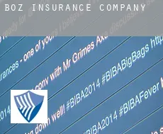 Boz  insurance company