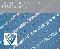 Burnt Creek life insurance