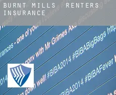 Burnt Mills  renters insurance