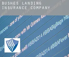 Bushes Landing  insurance company