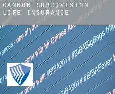 Cannon Subdivision  life insurance