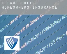 Cedar Bluffs  homeowners insurance