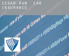 Cedar Run  car insurance