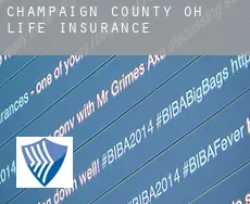 Champaign County life insurance