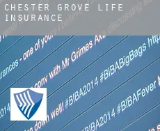 Chester Grove  life insurance