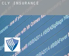 Cly  insurance