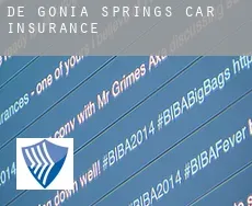De Gonia Springs  car insurance