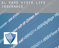 El Pavo Vista  life insurance