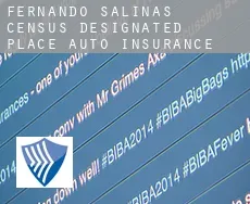Fernando Salinas  auto insurance