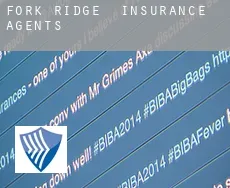 Fork Ridge  insurance agents