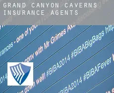Grand Canyon Caverns  insurance agents