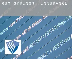 Gum Springs  insurance