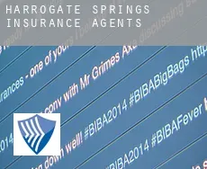 Harrogate Springs  insurance agents