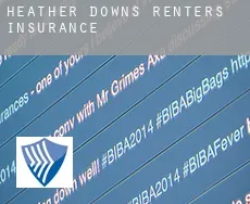 Heather Downs  renters insurance