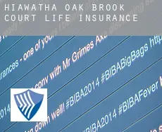 Hiawatha Oak Brook Court  life insurance