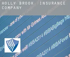 Holly Brook  insurance company