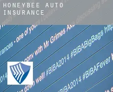 Honeybee  auto insurance