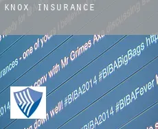 Knox insurance