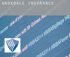 Knoxdale  insurance