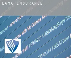 Lama  insurance