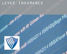 Levee  insurance