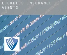 Lucullus  insurance agents