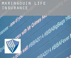Maringouin life insurance