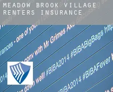 Meadow Brook Village  renters insurance