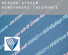 Meadow Stream  homeowners insurance