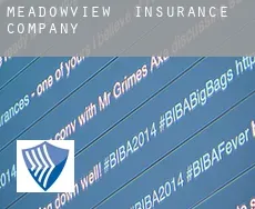 Meadowview  insurance company