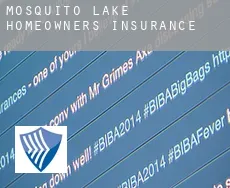 Mosquito Lake  homeowners insurance
