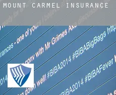 Mount Carmel  insurance