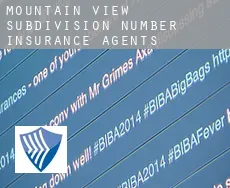 Mountain View Subdivision Number 12  insurance agents