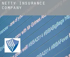 Netty  insurance company