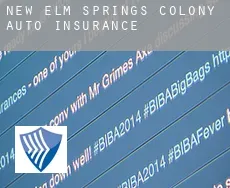 New Elm Springs Colony  auto insurance