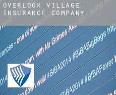 Overlook Village  insurance company
