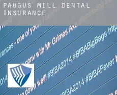 Paugus Mill  dental insurance