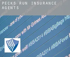 Pecks Run  insurance agents