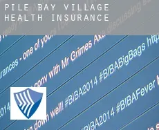 Pile Bay Village  health insurance