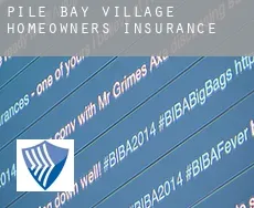 Pile Bay Village  homeowners insurance