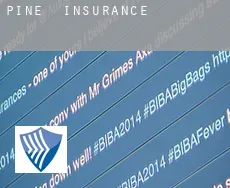 Pine  insurance