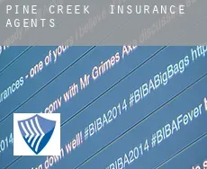 Pine Creek  insurance agents