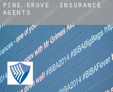 Pine Grove  insurance agents
