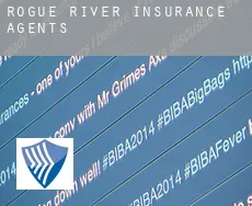 Rogue River  insurance agents