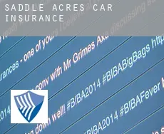 Saddle Acres  car insurance